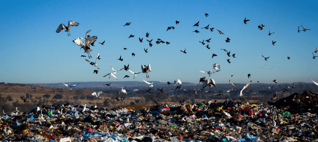 Talking Trash at Antenna Group: Landfills