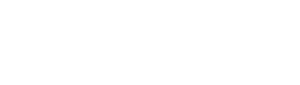 MGX Minerals Inc