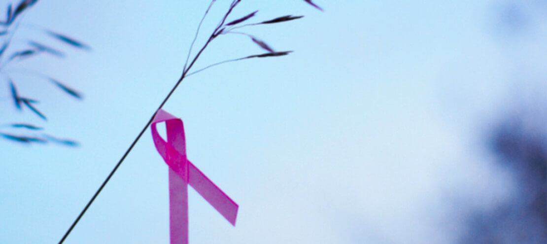 Why I No Longer Fear Breast Cancer