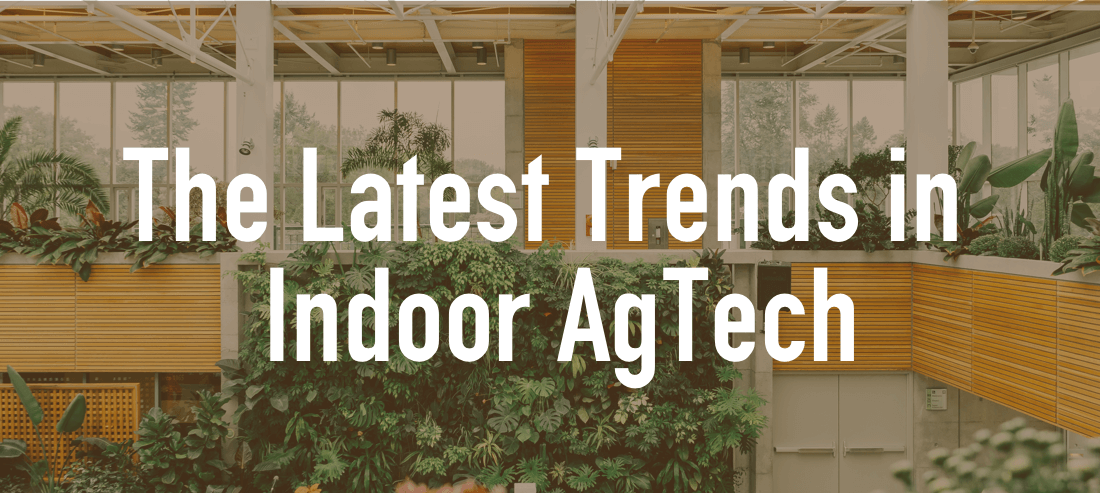 The Latest Trends in Indoor AgTech